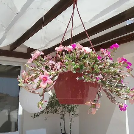 Apartament Amazing Penthouse Pyla